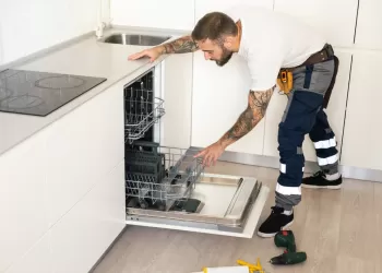 Bulaşık Makinesi Servisi